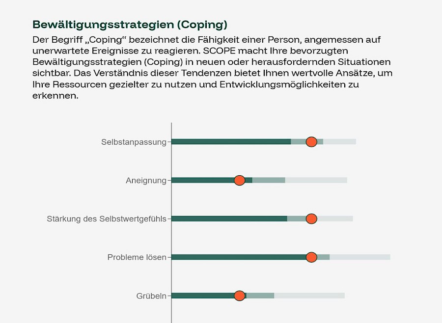 Abbildung 1: Auszug aus einem SCOPE-Bericht (DE)