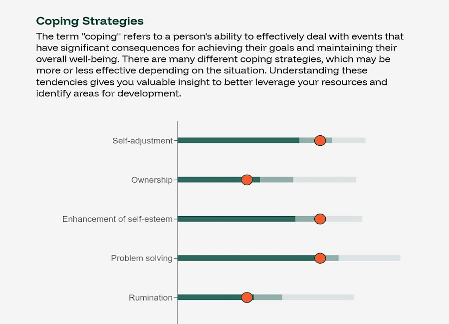 Figure 1: excerpt from a SCOPE report (EN)