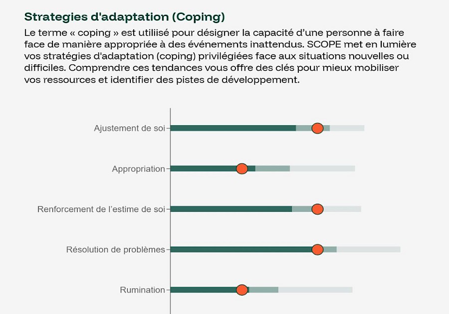 Figure 1 : extrait de résultats d’un rapport SCOPE (FR)